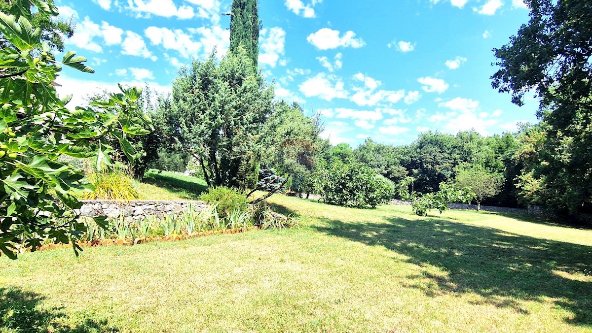 Casa Brtonigla, 600m2