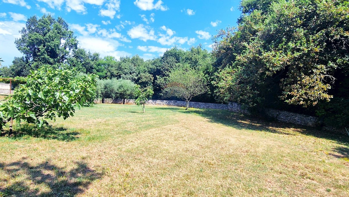 Casa Brtonigla, 600m2