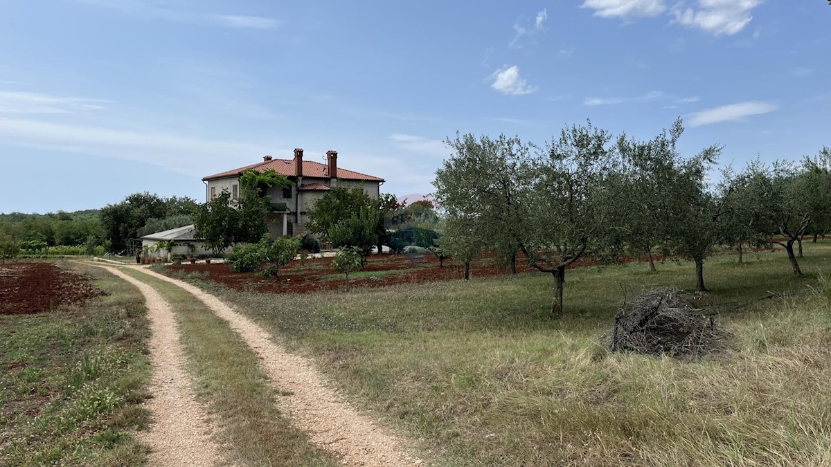 Casa Umag, 420m2