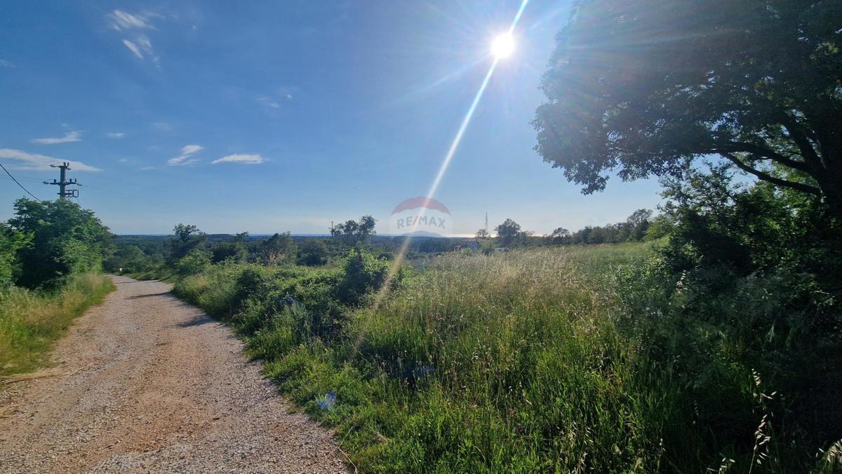 Terreno edificabile Kaštel, Buje, 5.000m2