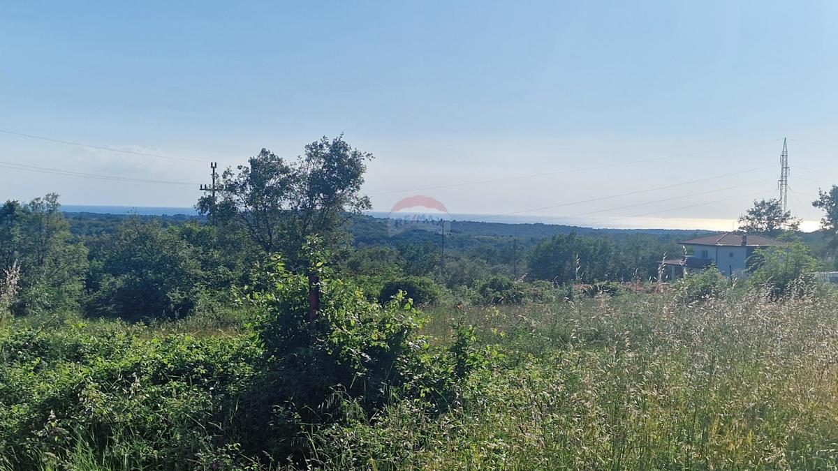 Terreno edificabile Kaštel, Buje, 5.000m2