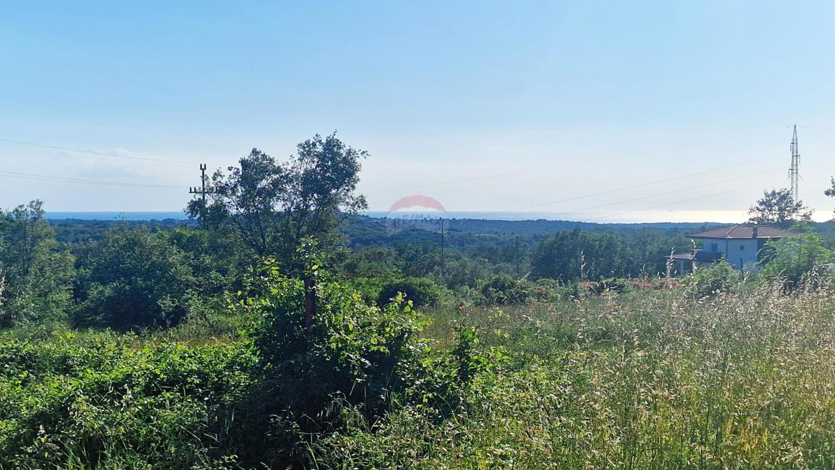 Terreno edificabile Kaštel, Buje, 5.000m2