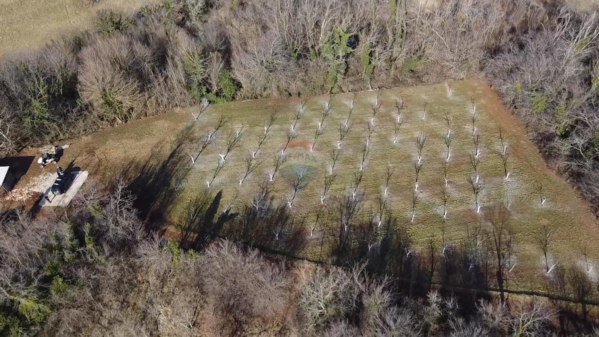 Terreno edificabile Vranići kod Višnjana, Višnjan, 3.676m2