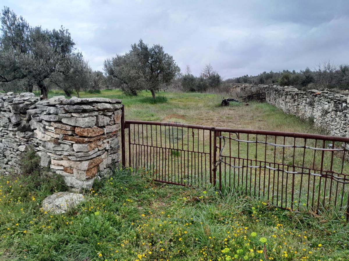 Terreno non edificabile Vodnjan, 3.288m2