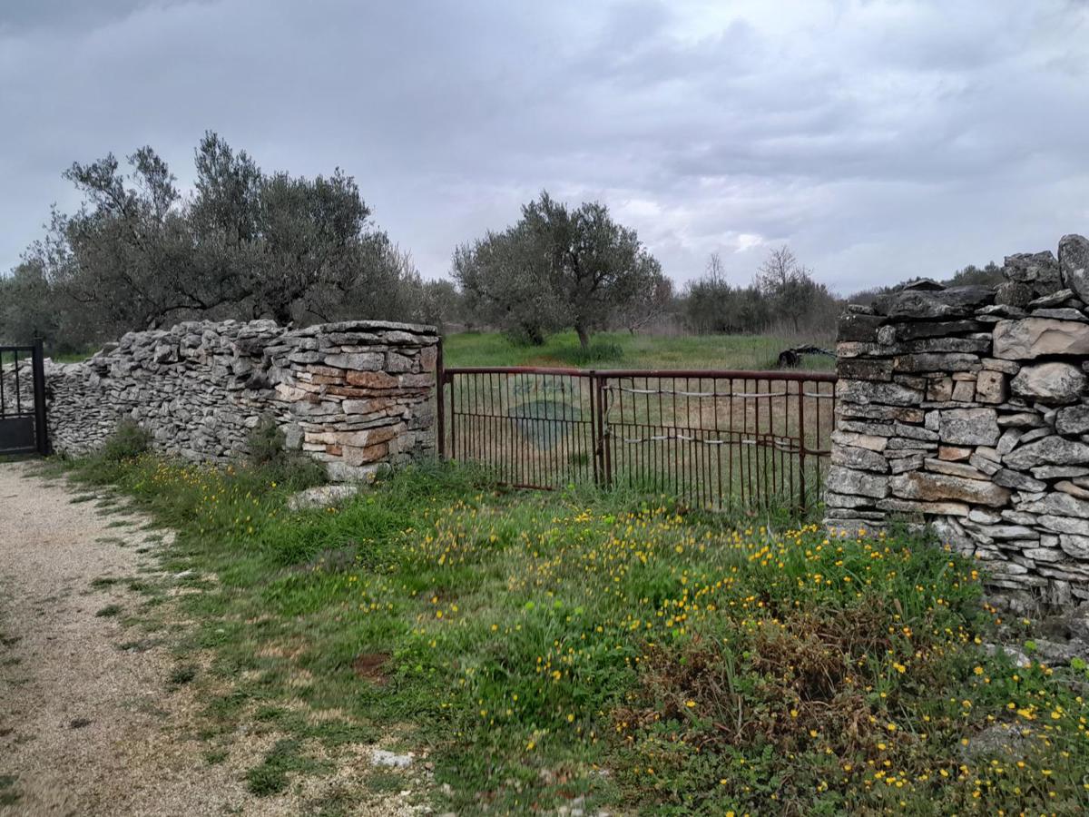 Terreno non edificabile Vodnjan, 3.288m2