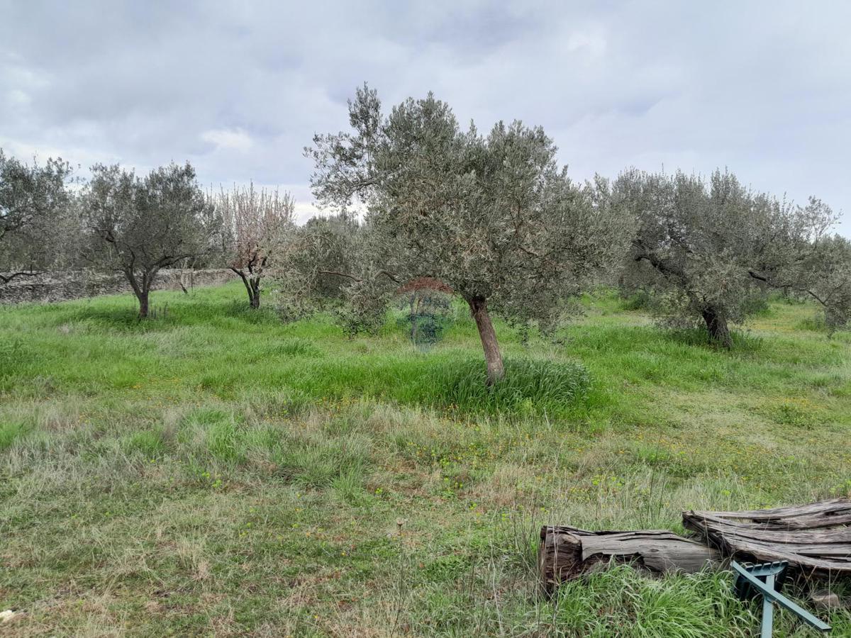 Terreno non edificabile Vodnjan, 3.288m2