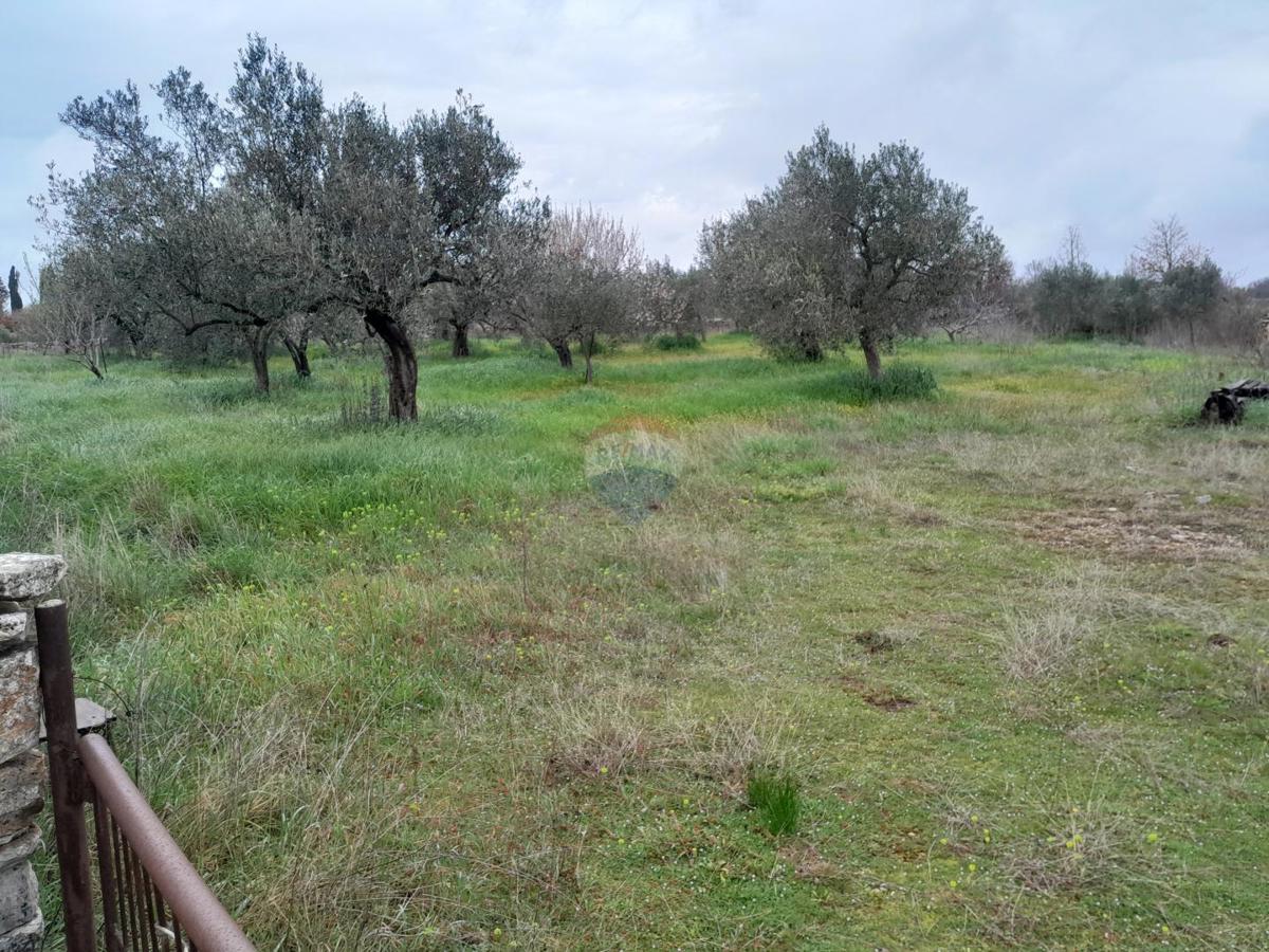 Terreno non edificabile Vodnjan, 3.288m2