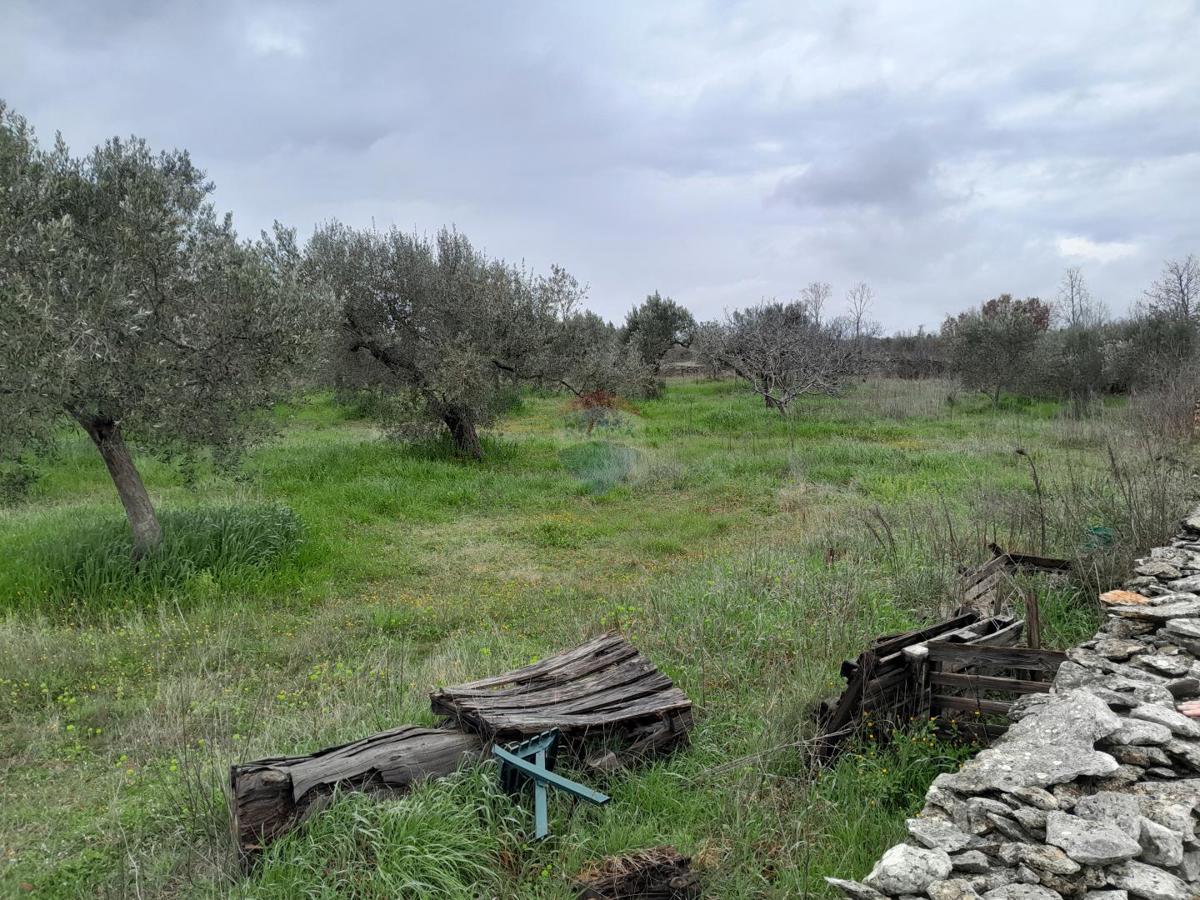 Terreno non edificabile Vodnjan, 3.288m2