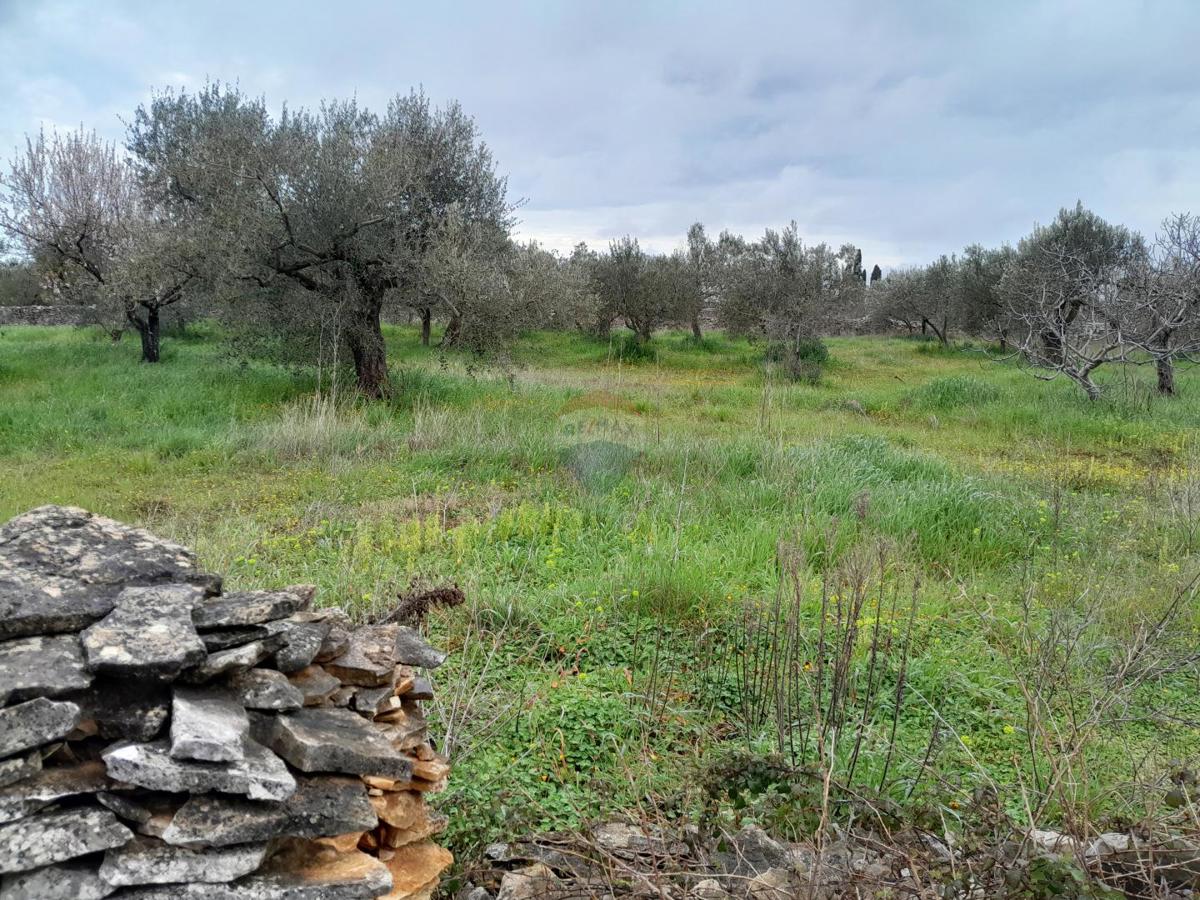 Terreno non edificabile Vodnjan, 3.288m2