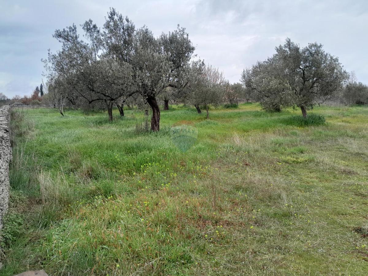 Terreno non edificabile Vodnjan, 3.288m2