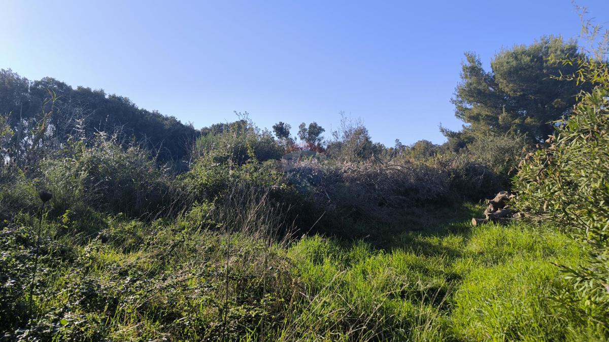 Terreno edificabile Pješčana Uvala, Medulin, 2.438m2