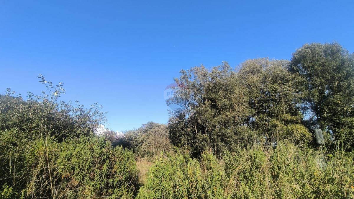 Terreno edificabile Pješčana Uvala, Medulin, 2.438m2