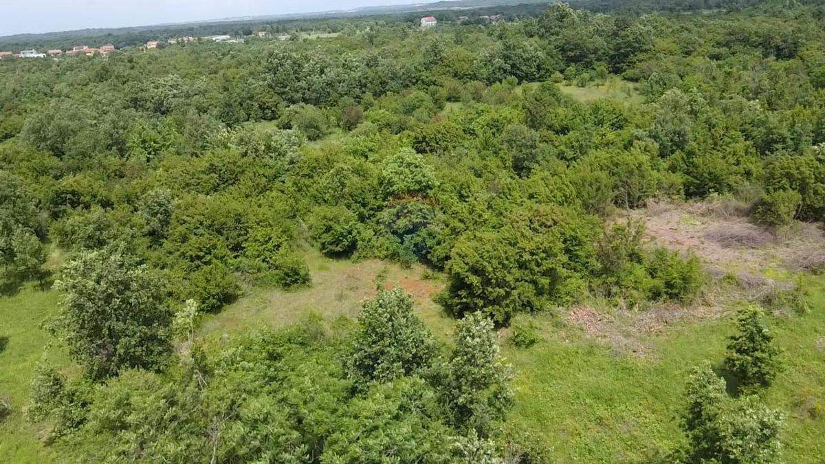 Terreno non edificabile Žbandaj, Poreč, 33.835m2