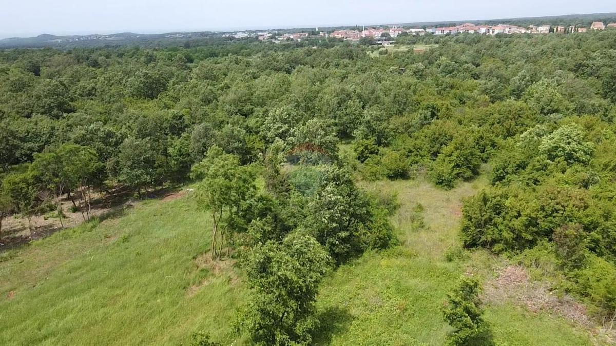 Terreno non edificabile Žbandaj, Poreč, 33.835m2