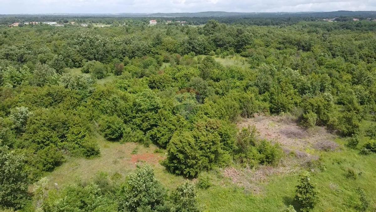 Terreno non edificabile Žbandaj, Poreč, 33.835m2