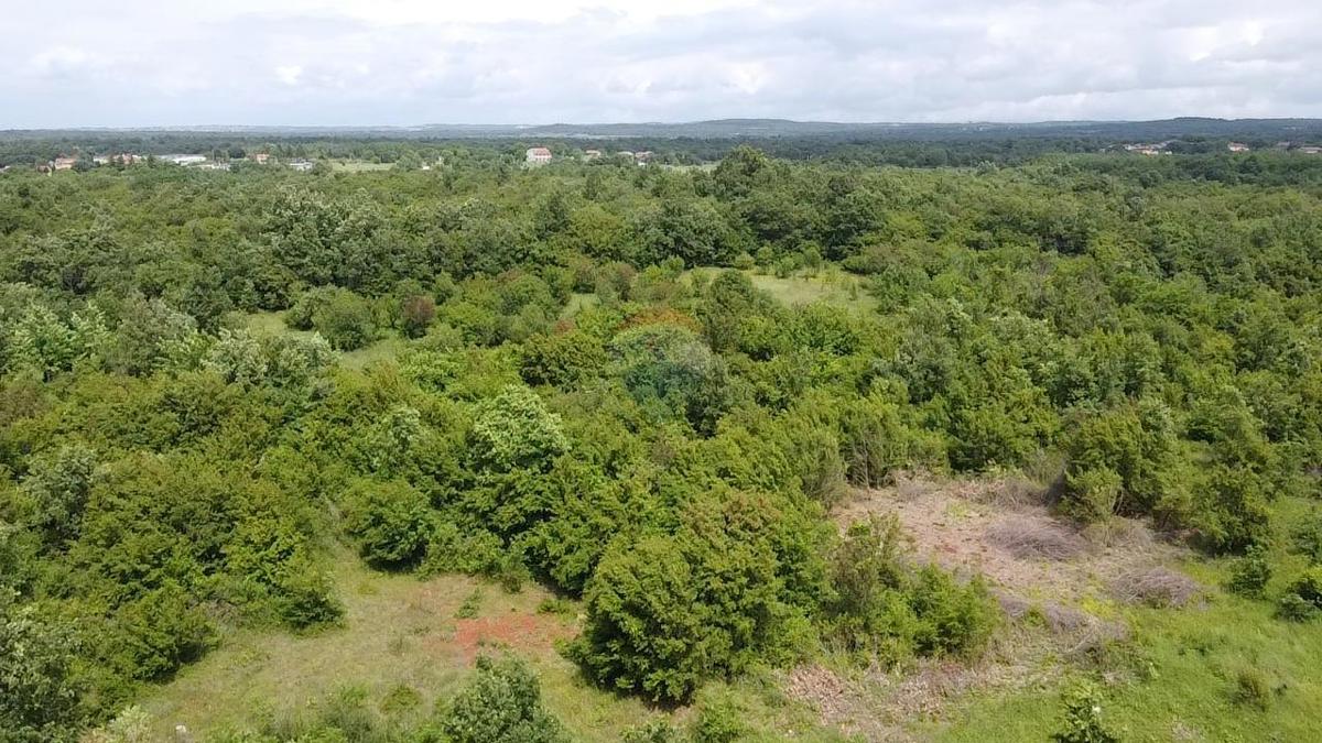 Terreno non edificabile Žbandaj, Poreč, 33.835m2