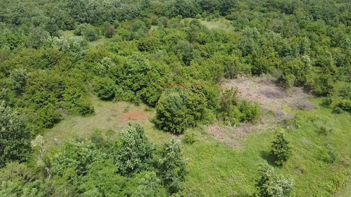 Terreno non edificabile Žbandaj, Poreč, 33.835m2