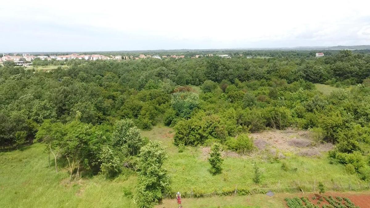 Terreno non edificabile Žbandaj, Poreč, 33.835m2