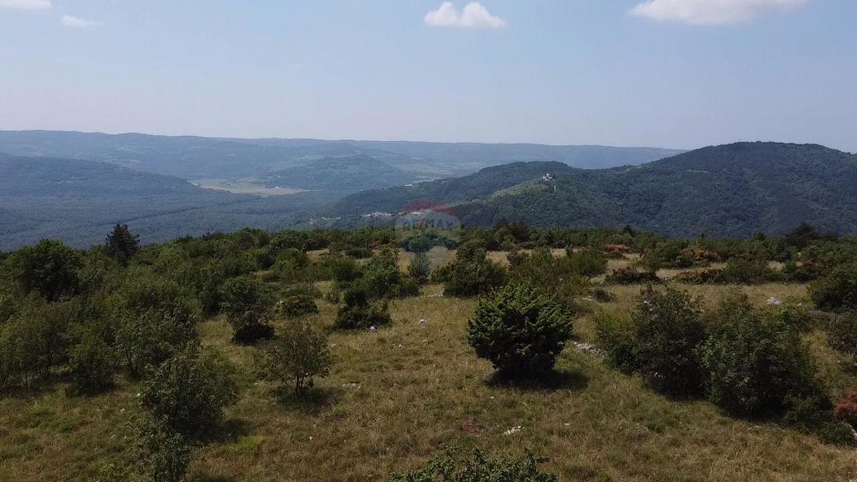 Terreno edificabile Zrenj, Oprtalj, 6.758m2