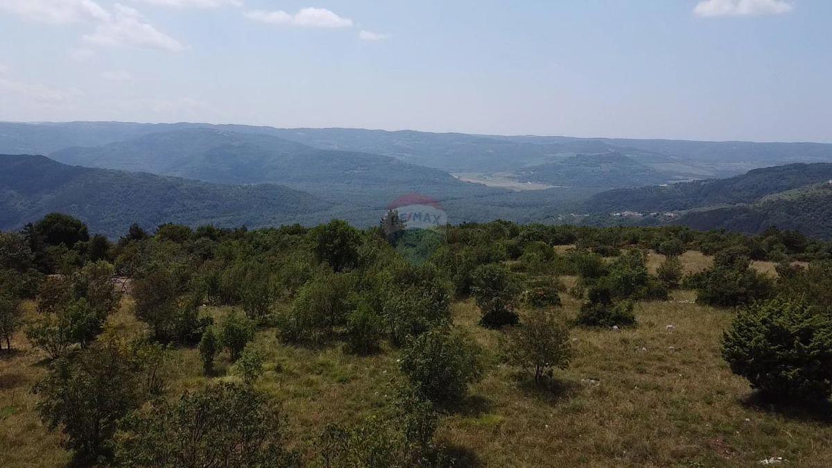 Terreno edificabile Zrenj, Oprtalj, 6.758m2