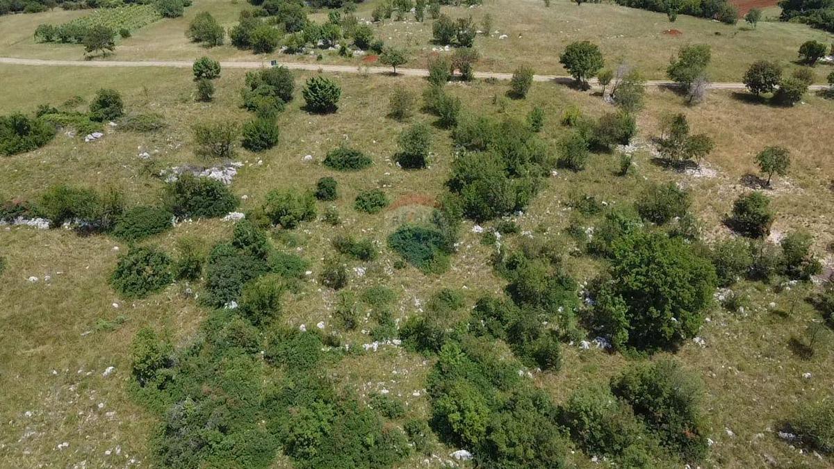Terreno edificabile Zrenj, Oprtalj, 6.758m2