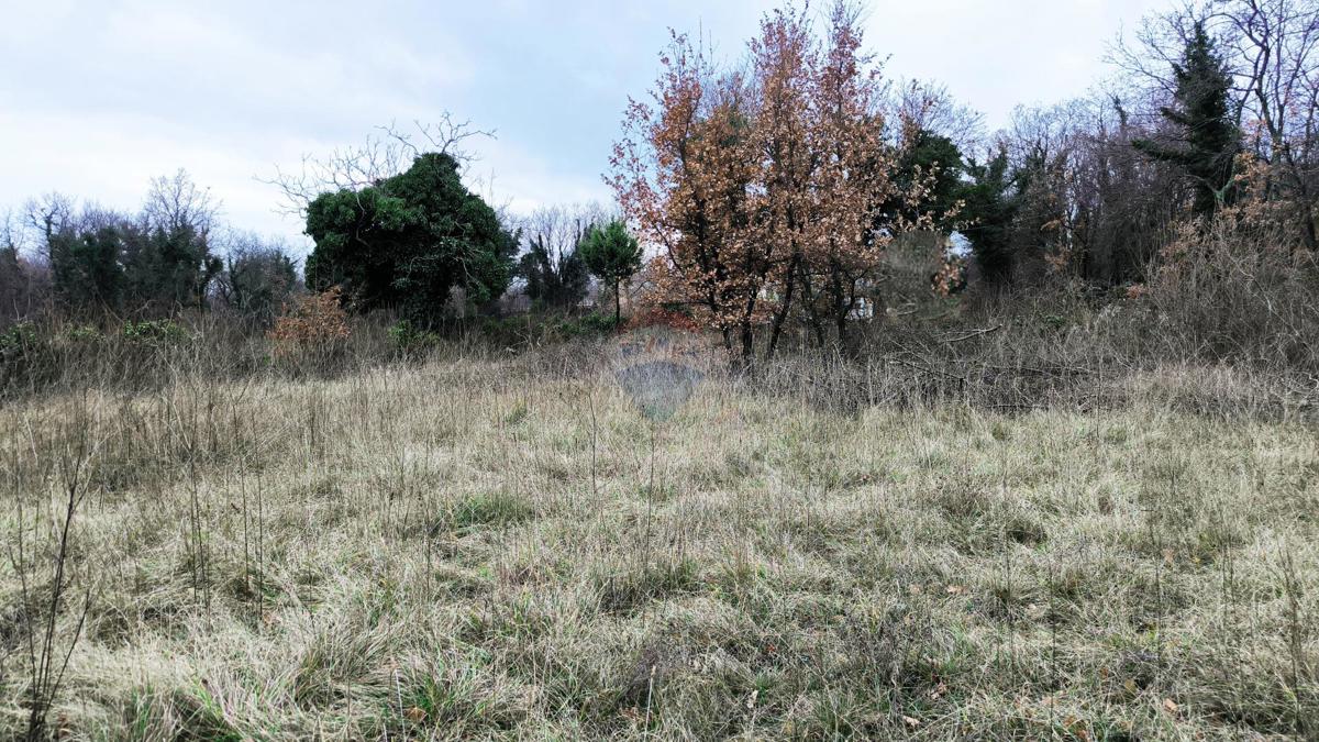 Terreno non edificabile Trget, Raša, 6.101m2