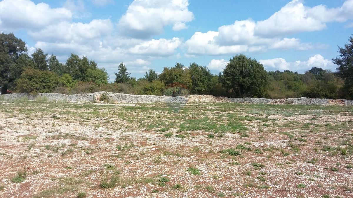 Terreno edificabile Kanfanar, 657m2