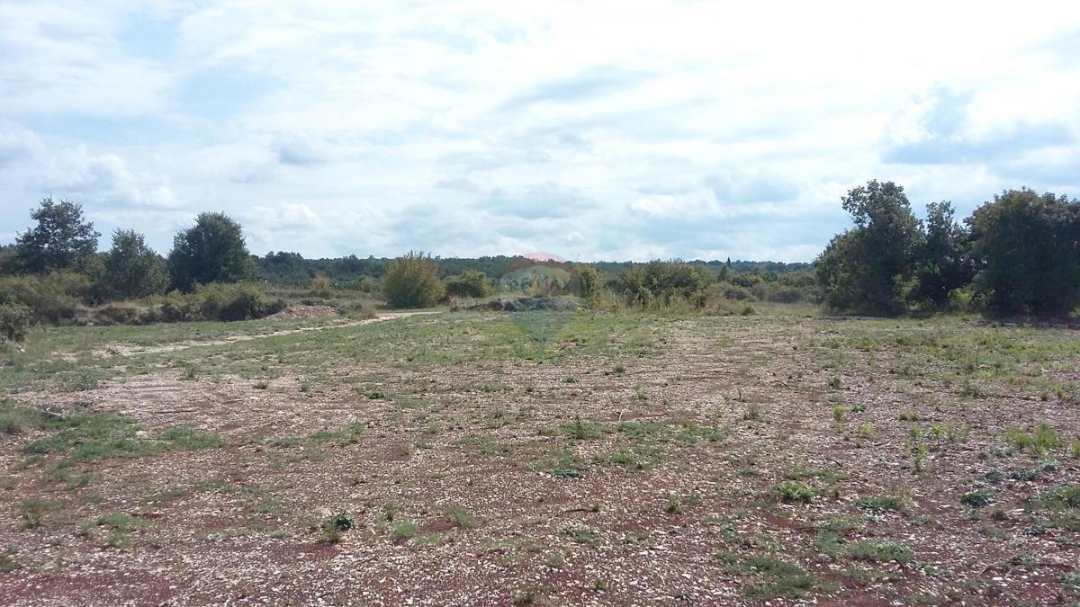 Terreno edificabile Kanfanar, 657m2