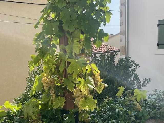 Isola di Krk, Dobrinj, casa con terrazza sul tetto e vista mare