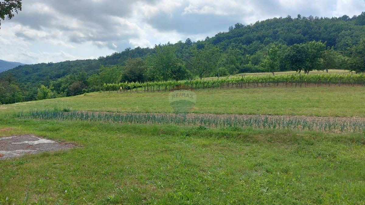 Casa Lupoglav, 462m2