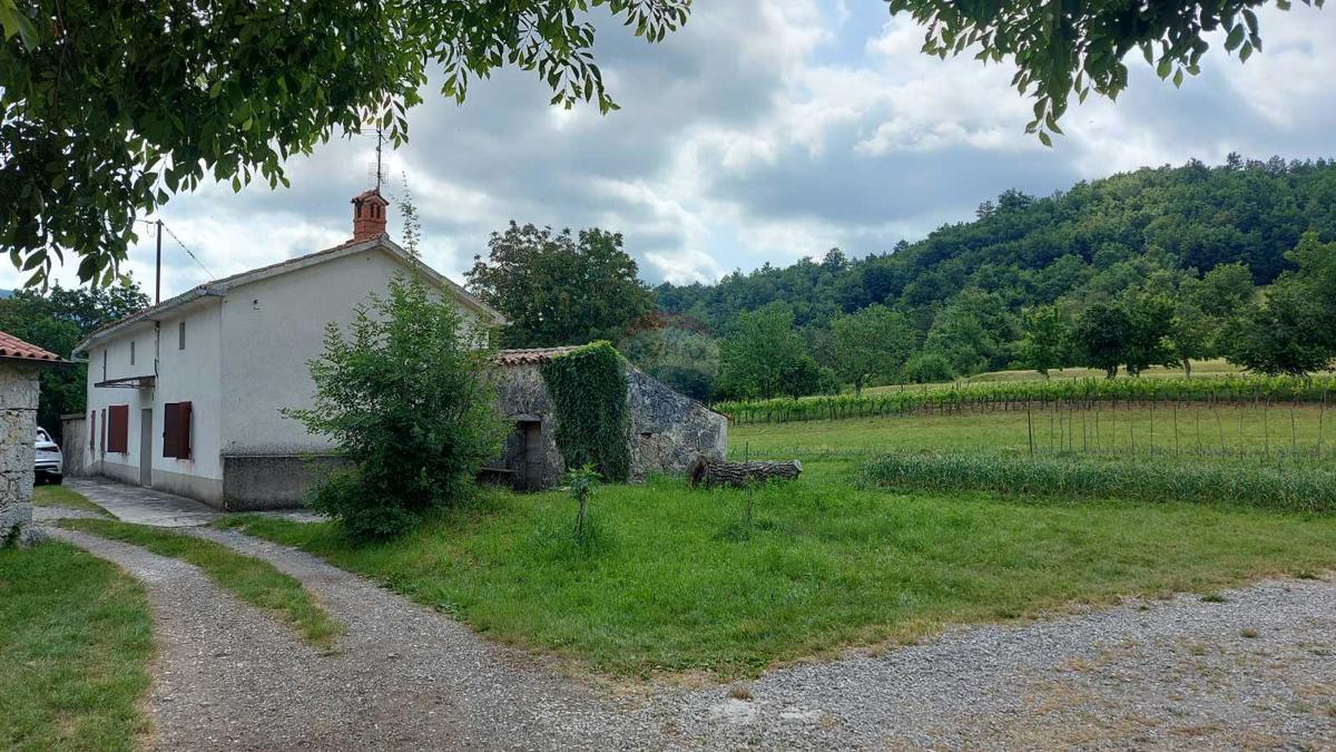 Casa Lupoglav, 462m2