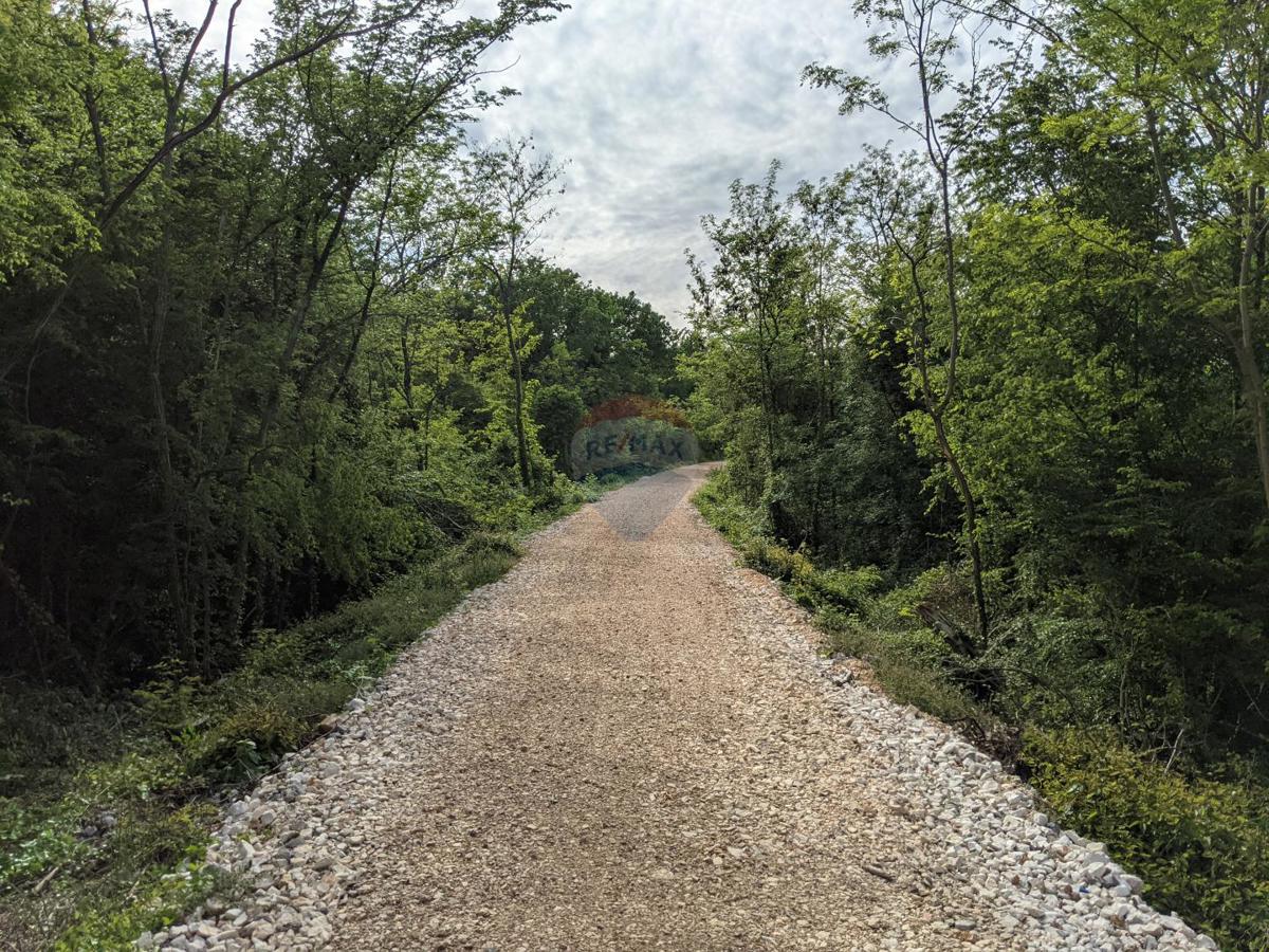 Terreno non edificabile Rovinjsko Selo, Rovinj, 10.200m2