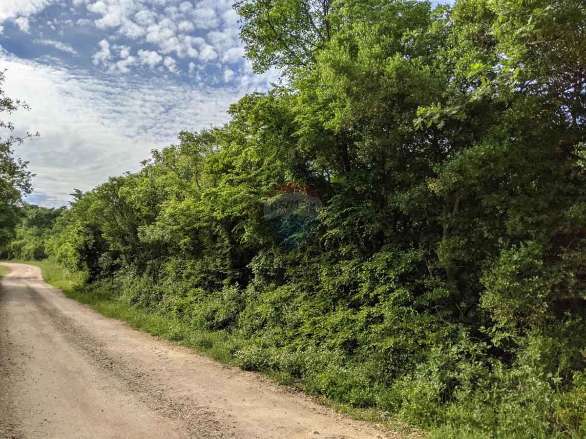 Terreno non edificabile Rovinjsko Selo, Rovinj, 10.200m2