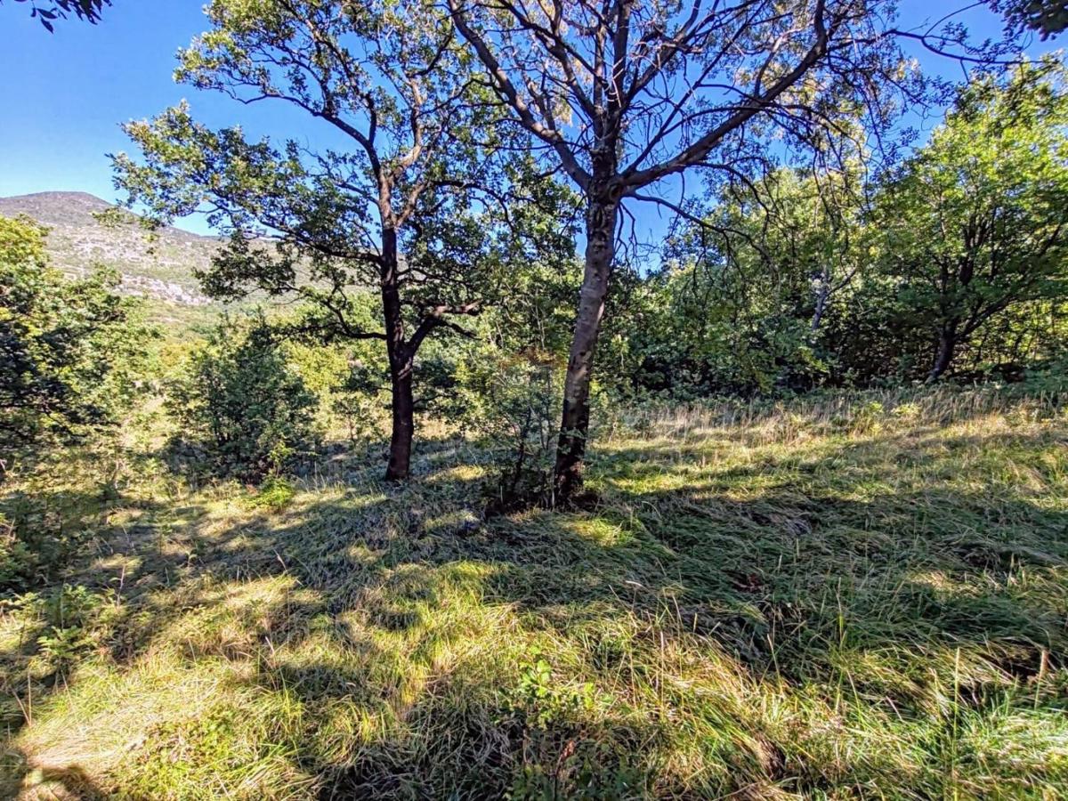 Terreno edificabile Krasica, Bakar, 7.776m2