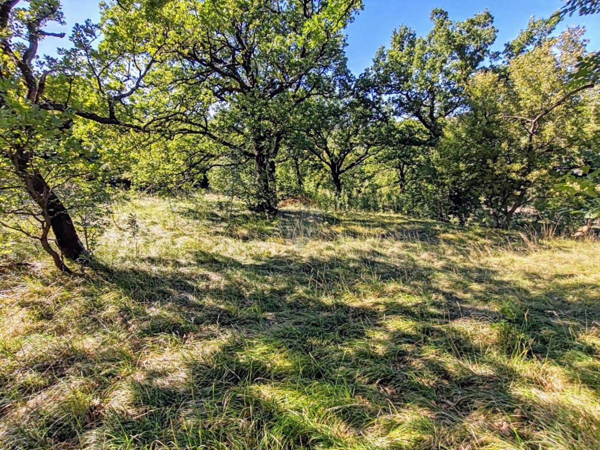 Terreno edificabile Krasica, Bakar, 7.776m2