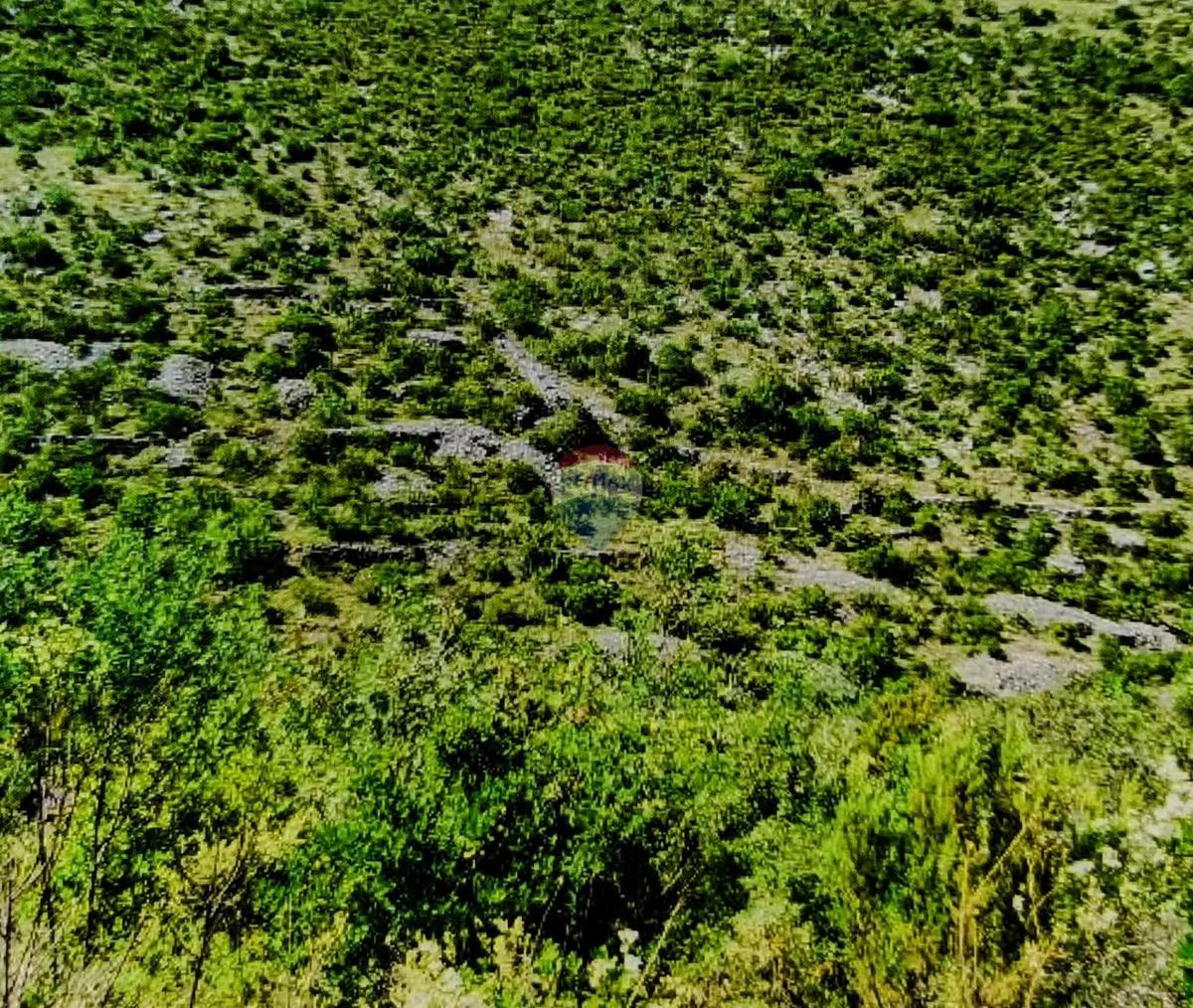 Terreno non edificabile Velo Grablje, Hvar, 10.794m2