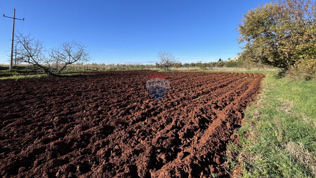 Terreno edificabile Kaštelir, Kaštelir-Labinci, 1.180m2