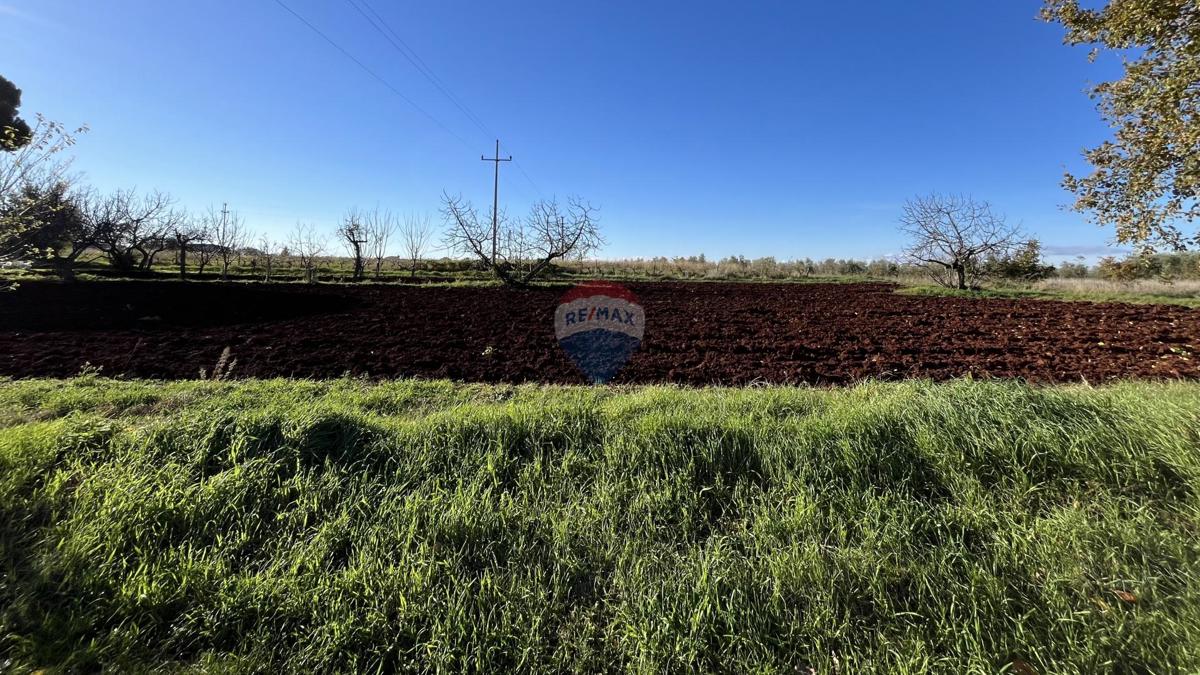 Terreno edificabile Kaštelir, Kaštelir-Labinci, 1.180m2