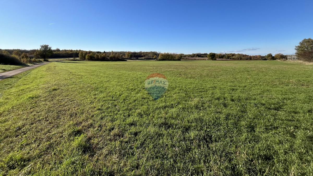 Terreno non edificabile Cerjani, Kaštelir-Labinci, 32.619m2