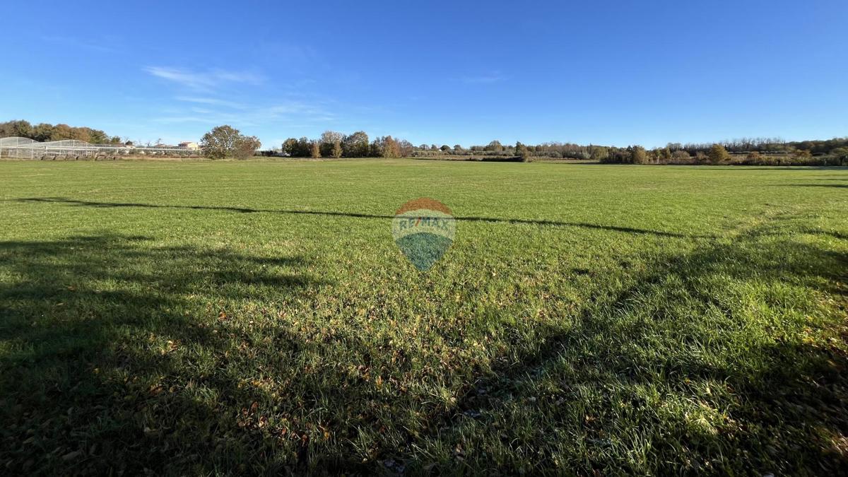 Terreno non edificabile Cerjani, Kaštelir-Labinci, 32.619m2