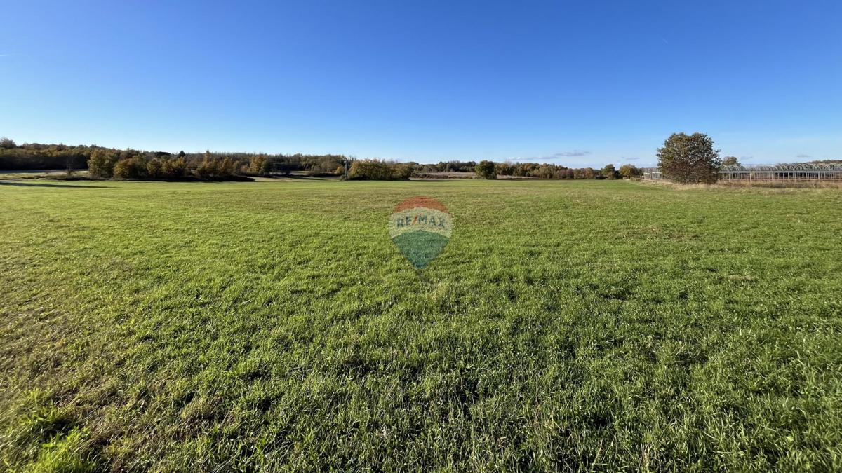 Terreno non edificabile Cerjani, Kaštelir-Labinci, 32.619m2