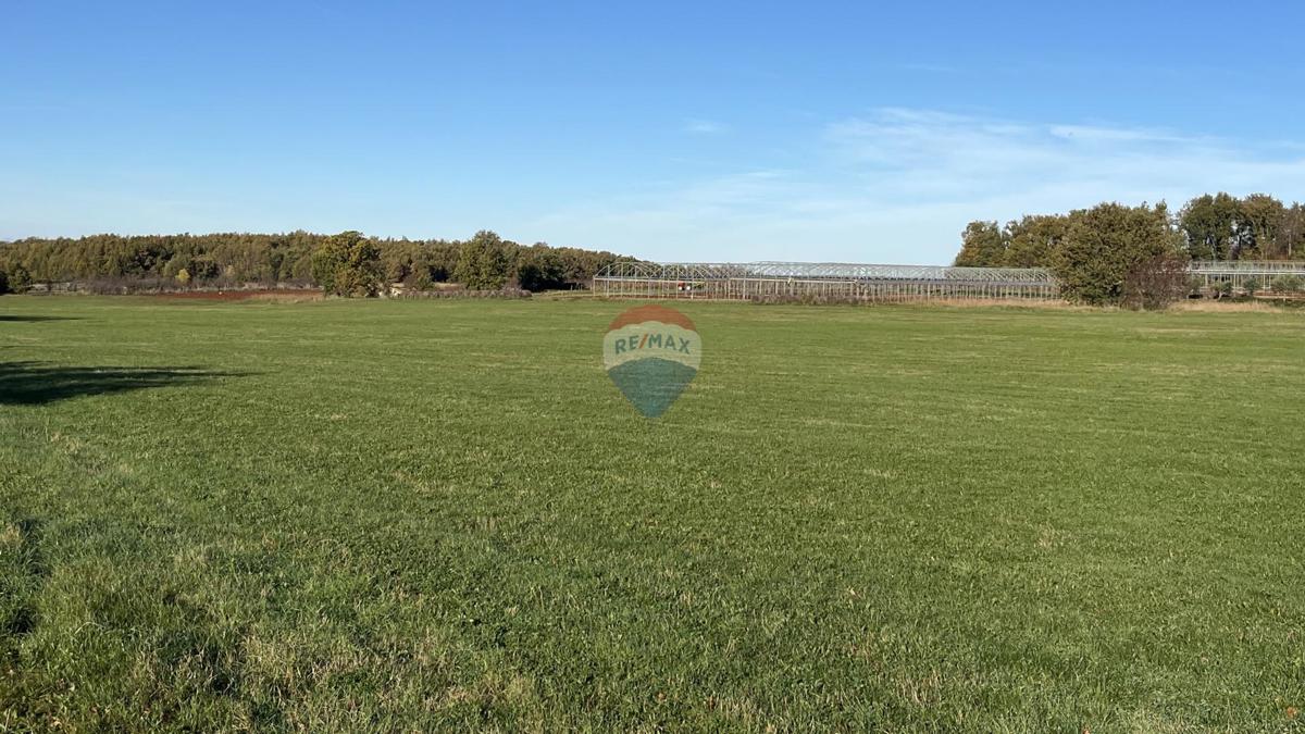 Terreno non edificabile Cerjani, Kaštelir-Labinci, 32.619m2