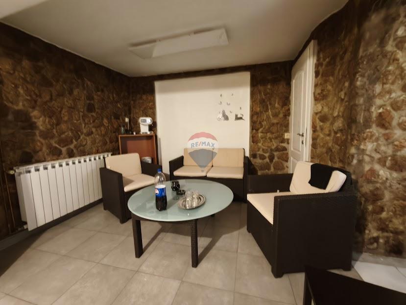 Casa Donja Drenova, Sveti Ivan Zelina, 580m2