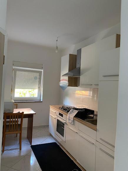 Casa Donja Drenova, Sveti Ivan Zelina, 580m2