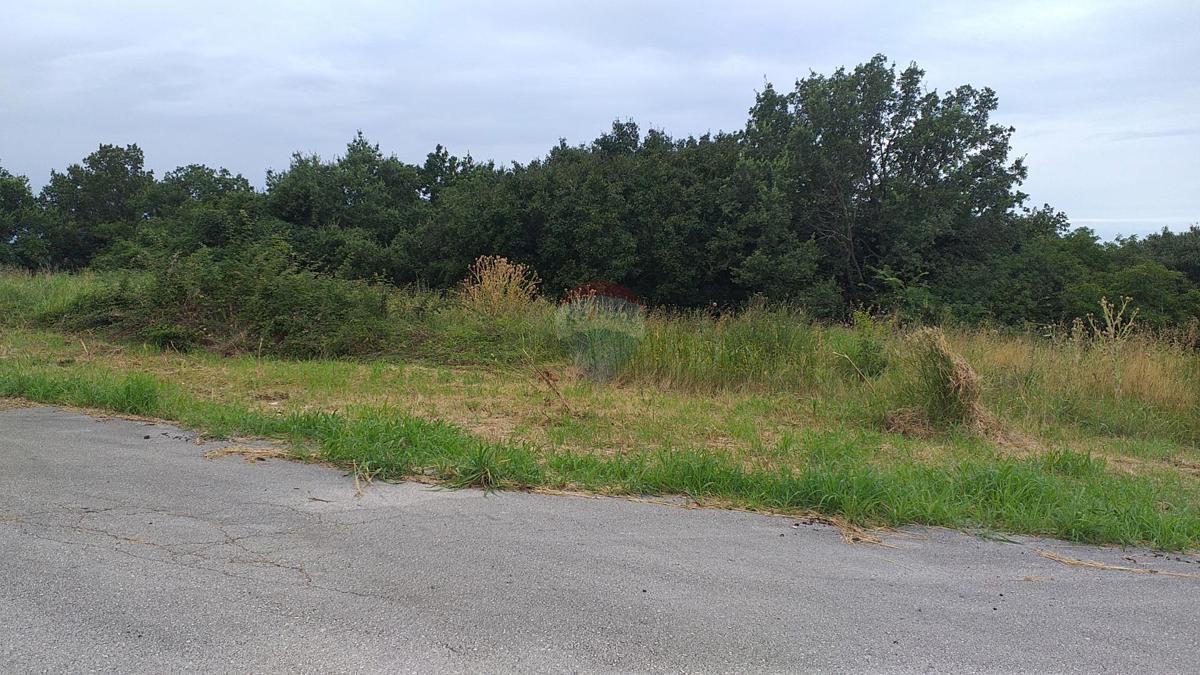 Terreno edificabile Buje, 2.265m2