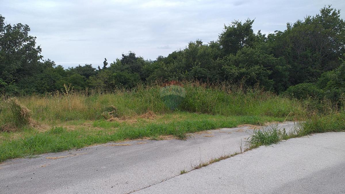 Terreno edificabile Buje, 2.265m2