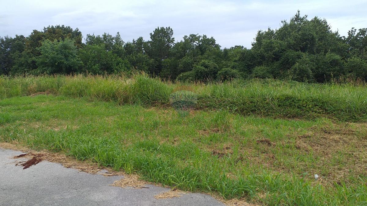 Terreno edificabile Buje, 2.265m2