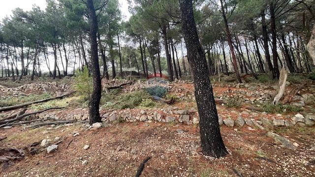 Terreno non edificabile Krk, 1.397m2