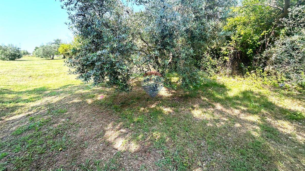 Terreno edificabile Umag, 592m2