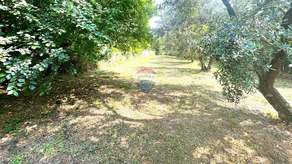 Terreno edificabile Umag, 592m2